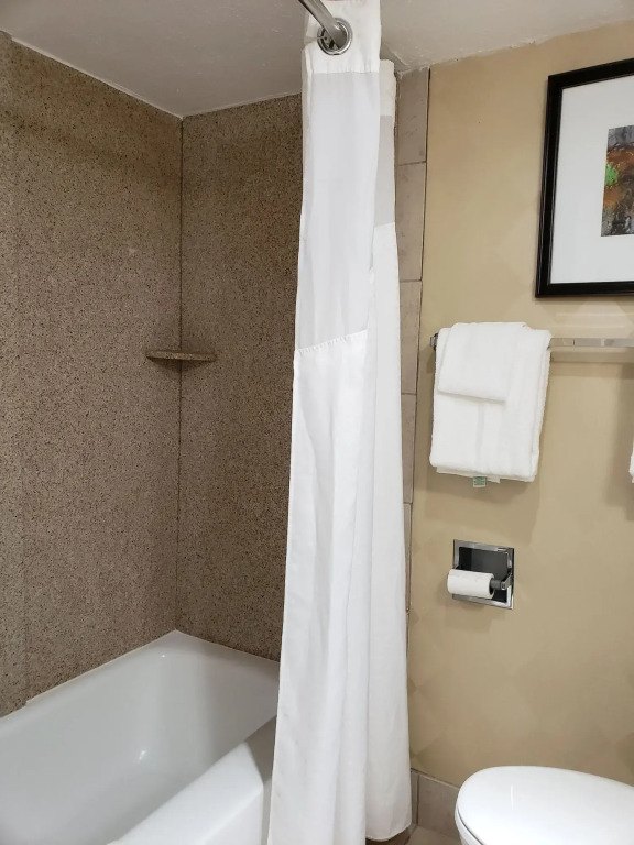 Holiday Inn Express Detroit-Birmingham by IHG