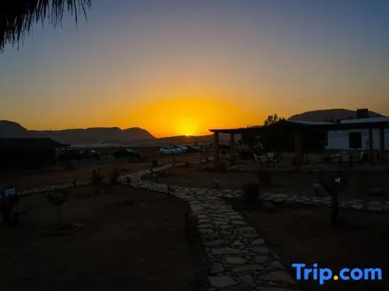 SAMA Ras Al Jinz Ecolodge