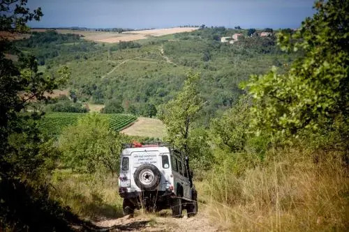 al Merlo Olivo, rural istrian house
