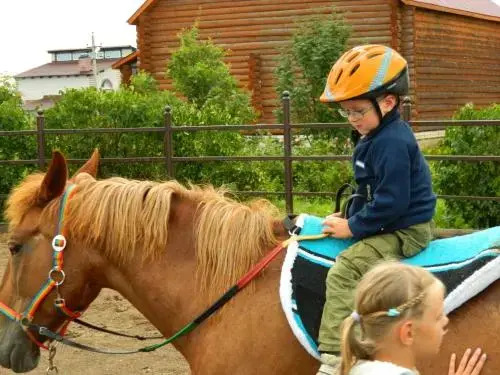 Конный двор