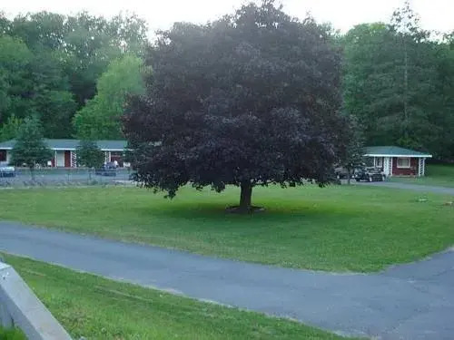 Roscoe Motel