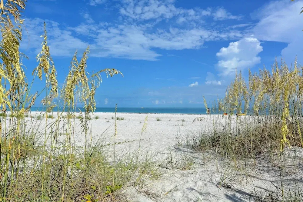 Lighthouse Lagoon Apartment 5