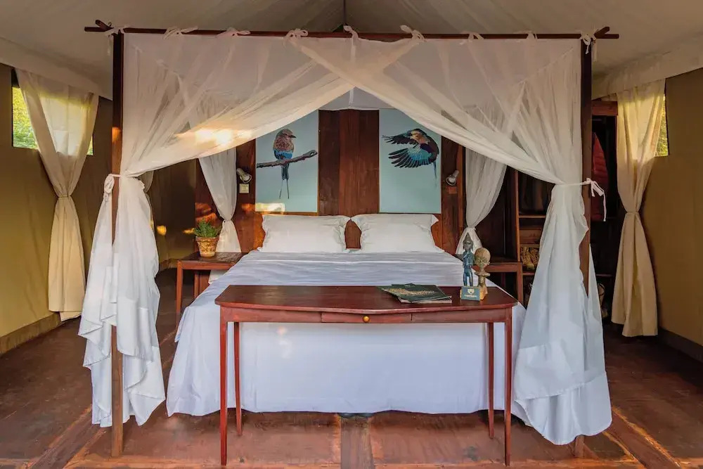 Camp Sabali & Safaris