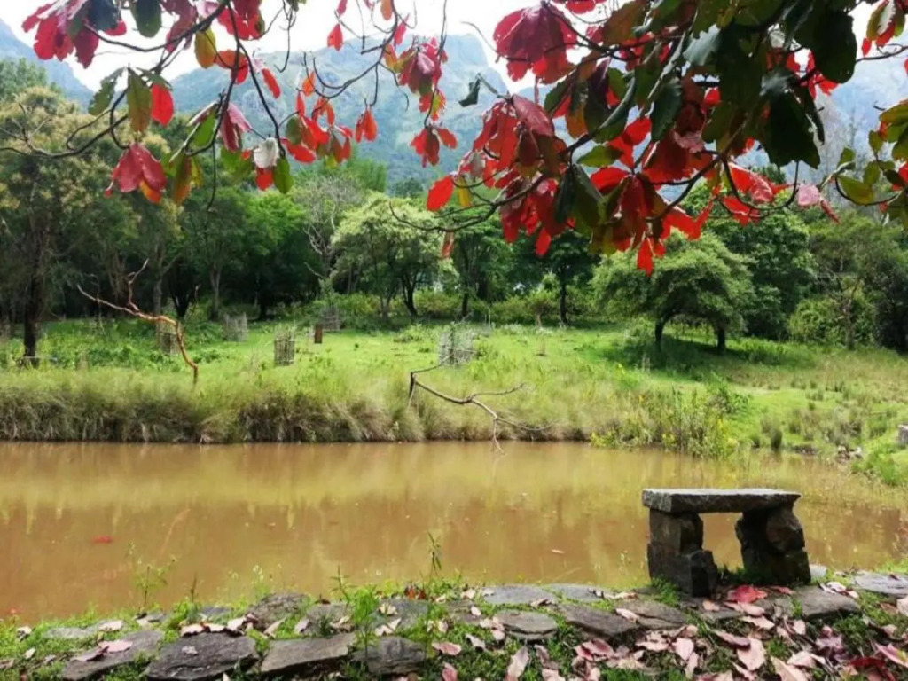 Jungle Hut Resort