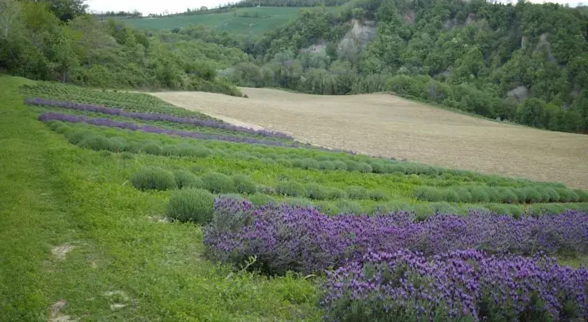 B&B I Cipressi