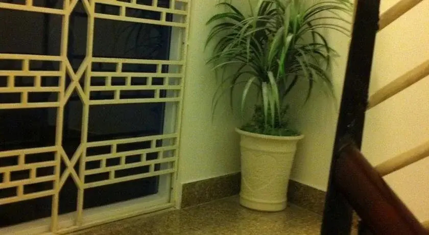 Lucky Hotel