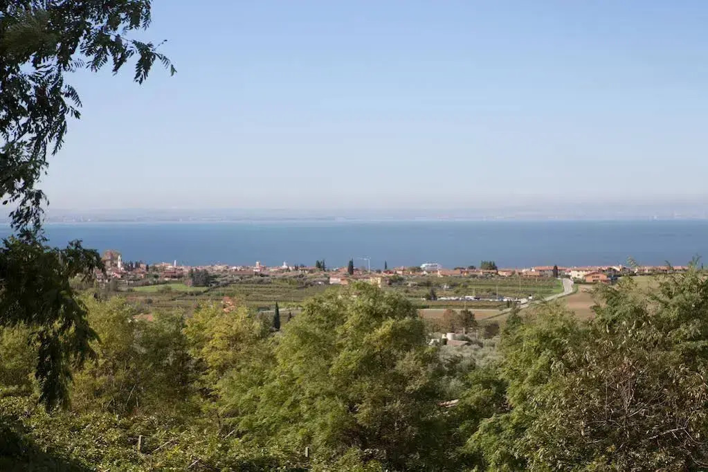 Agriturismo il Grappolo