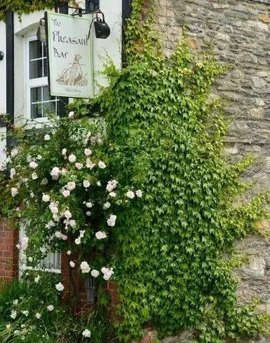 The Mulberry Inn