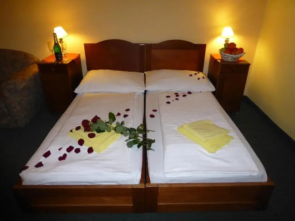 Hotel Korunni Princ