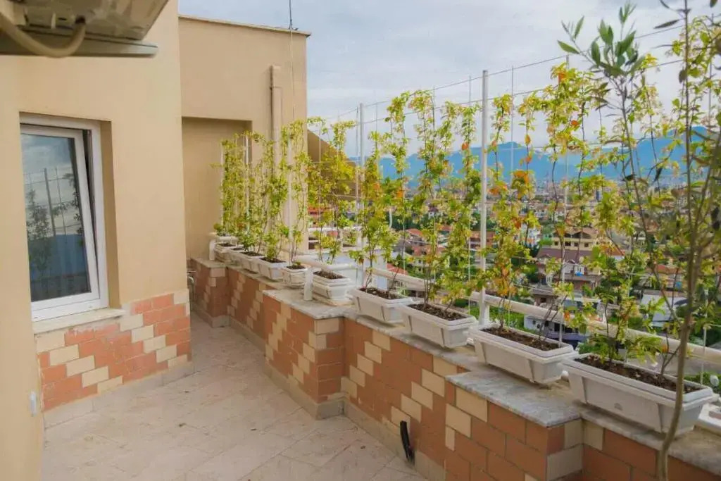 Modern Furnished Apartment with View