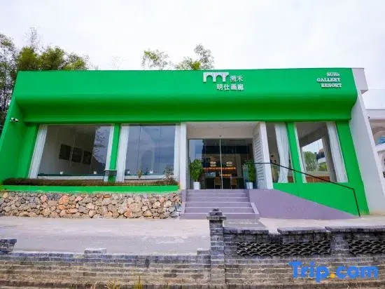 Daxin Suhe · Mingshi Gallery Homestay