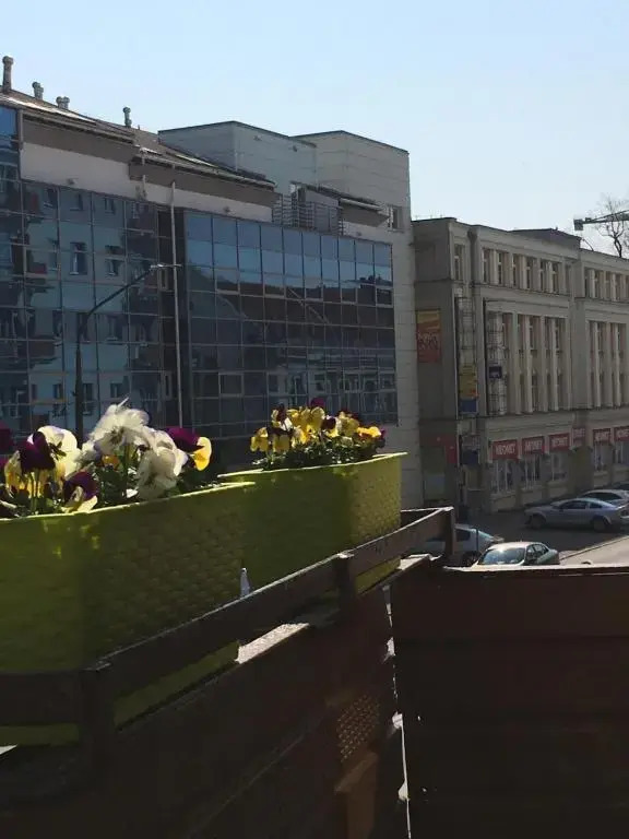 Apartament Lopuskiego 16