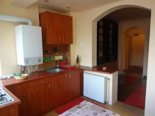 Apartment Mihai Viteazu