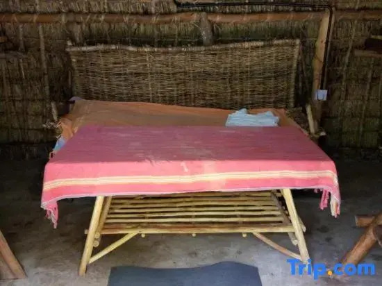 Mida Creek Eco Camp - lodge