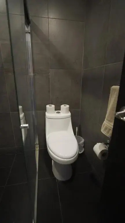 2 Bedroom Garden House Polanco
