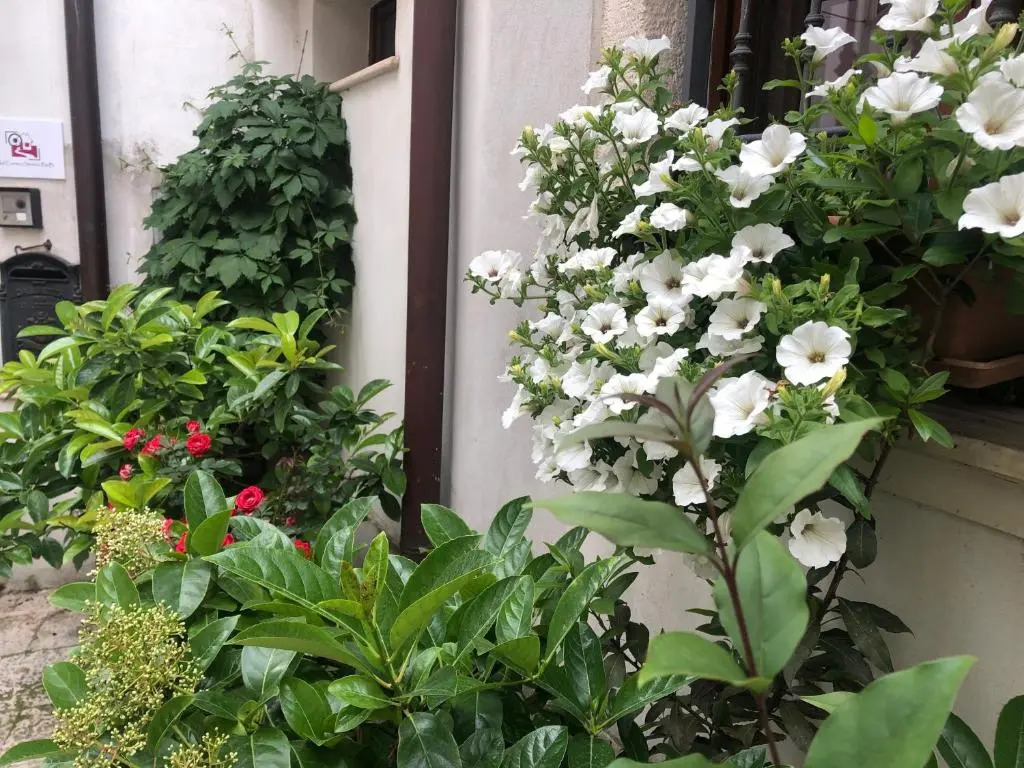 B&B Nel Centro Storico