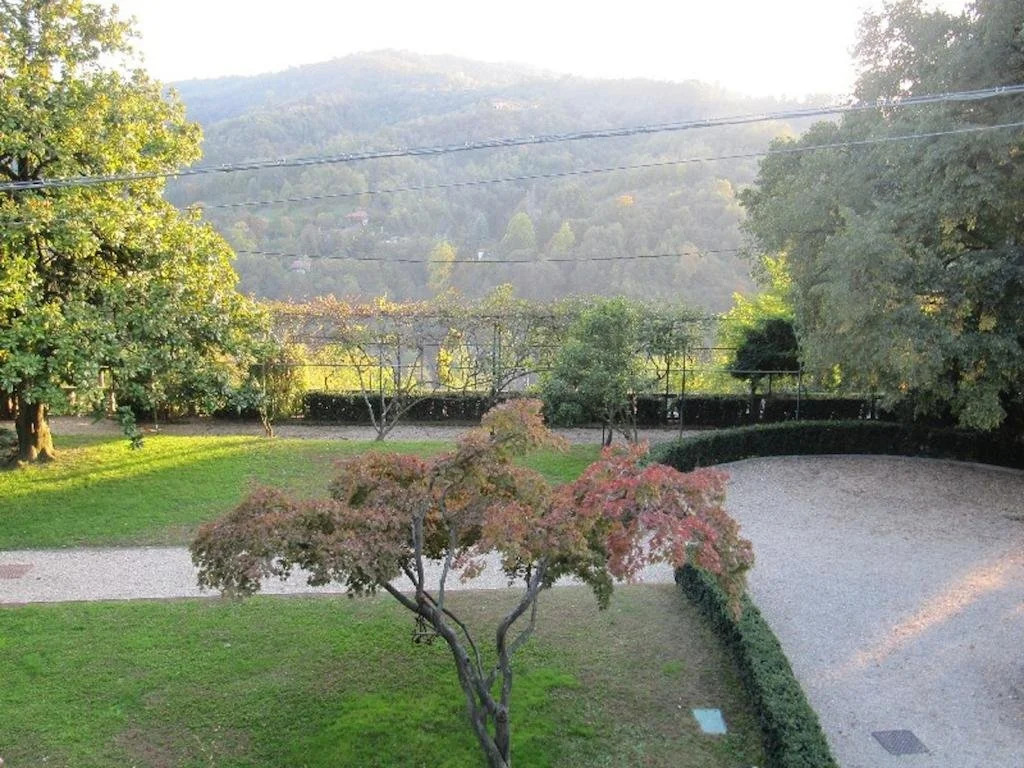 Vigna Il Merlo