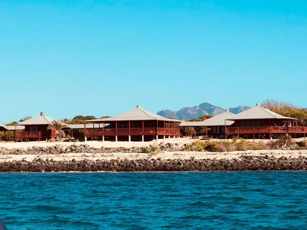 Camp Island Lodge