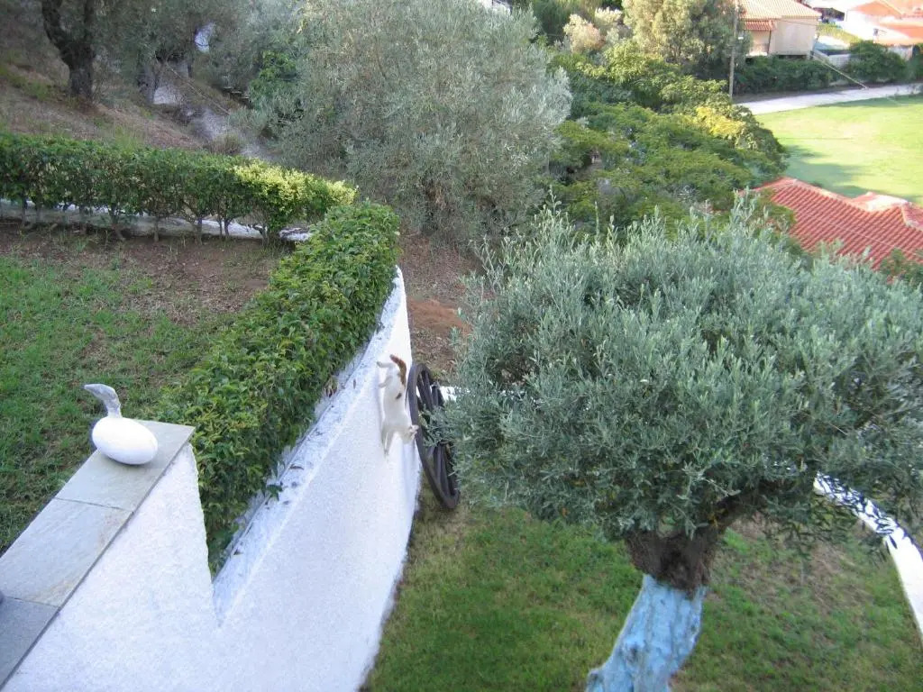 Villa Frideriki