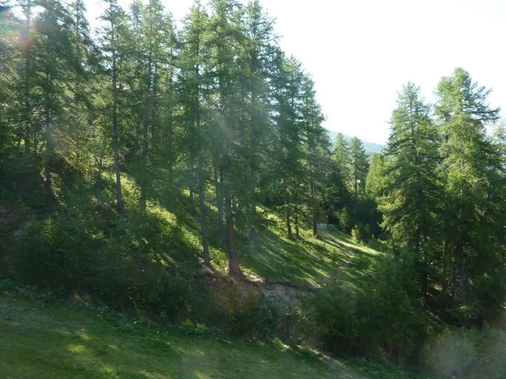 Appartement Les Orres, 2 pièces, 6 personnes - FR-1-322-189