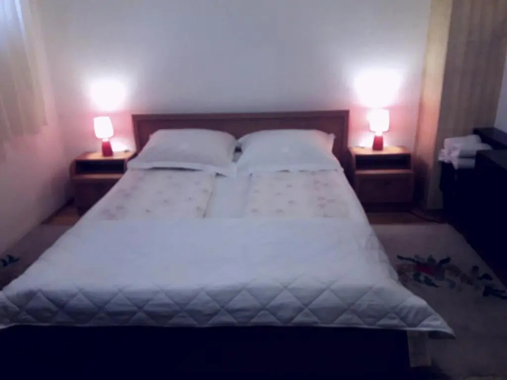 Apartment Borovi