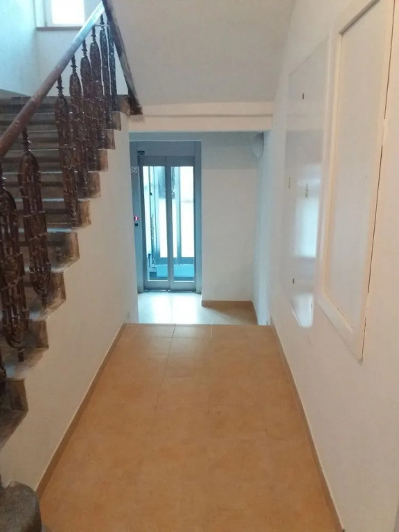 Vita Nejedleho apartments