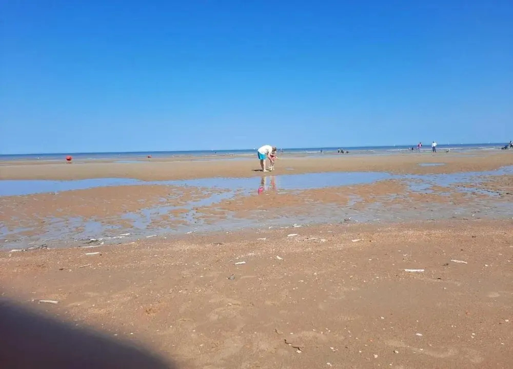 Apartment in Koksijde near the Sea