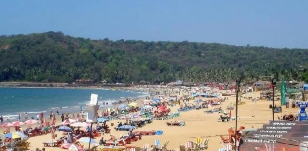Arambol Hospitality Red Rock