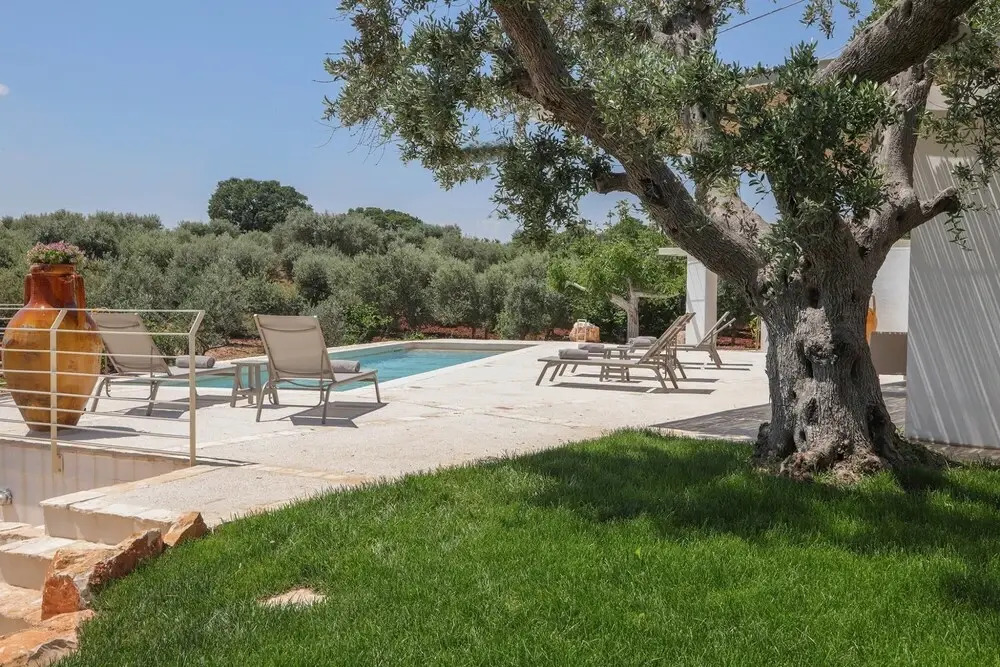 TD Casa Lul Panoramic Pool Over Mediterranean Scrub