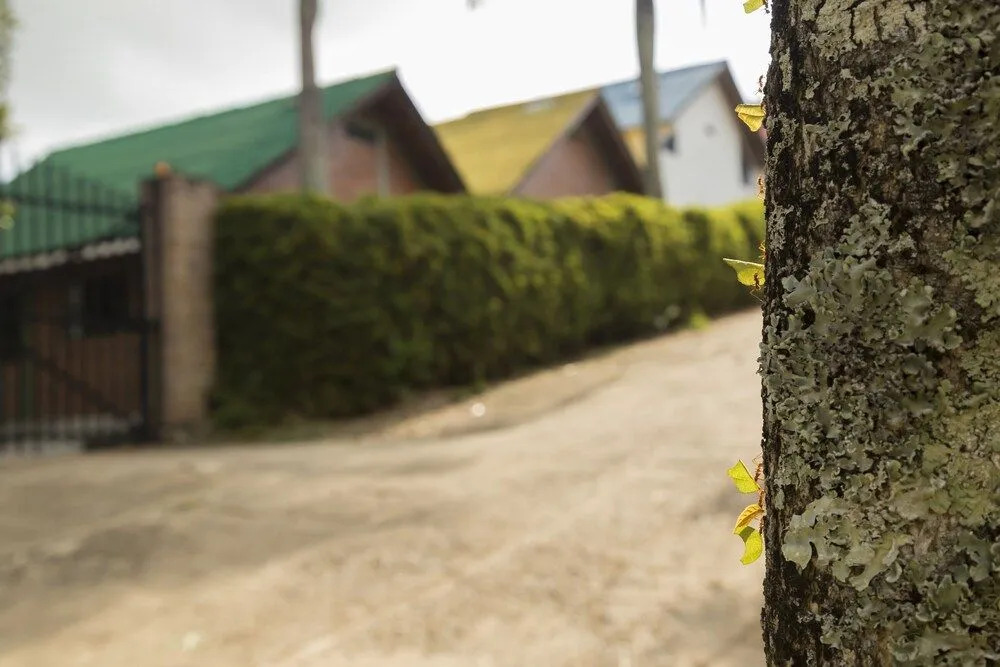 Ecovilla Cali
