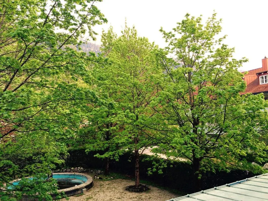 ciao-aschau Haus Burg Ap104 Pabst