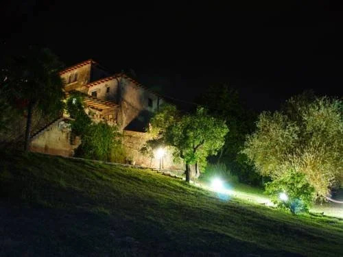 Polvereto