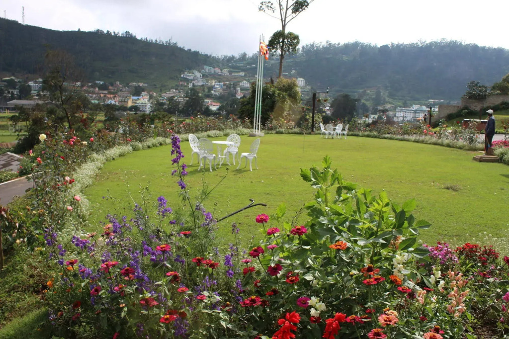 Serene King S Villa