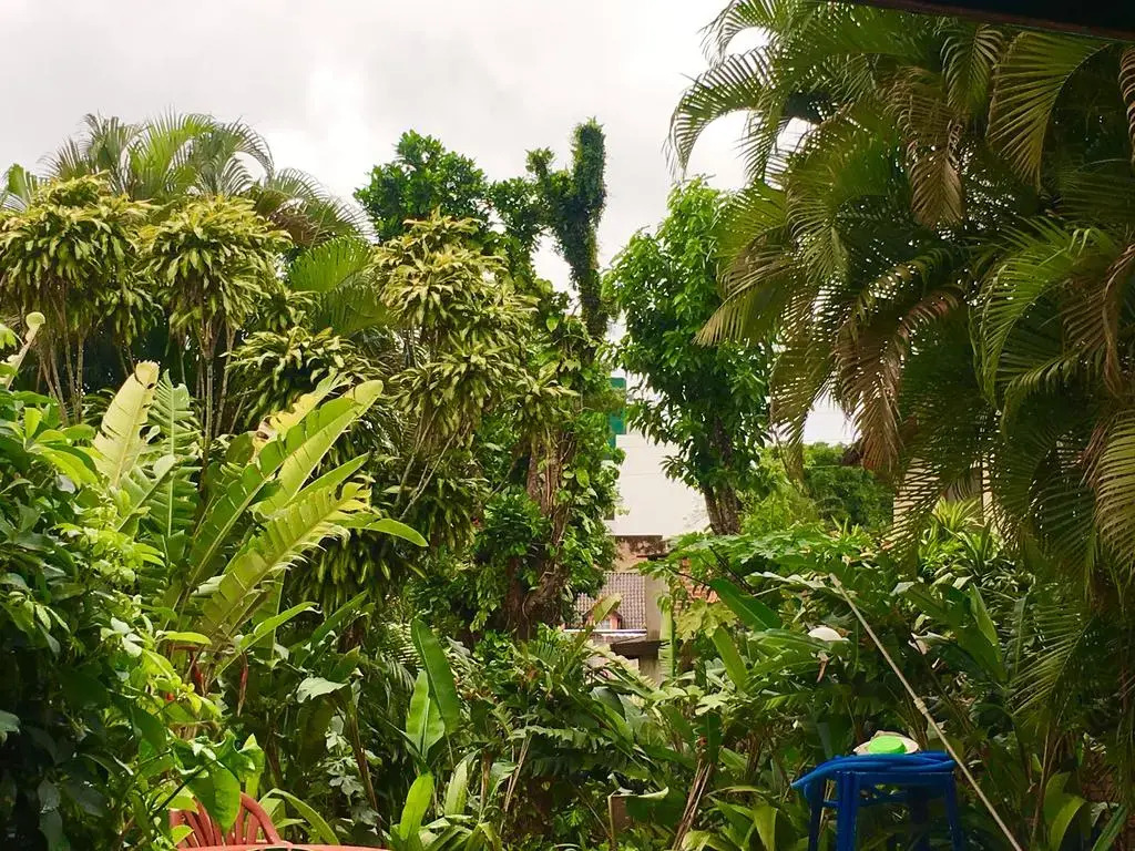 Garden Stone - Hostel