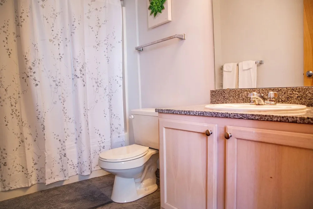 Historic Renovated Apartments
