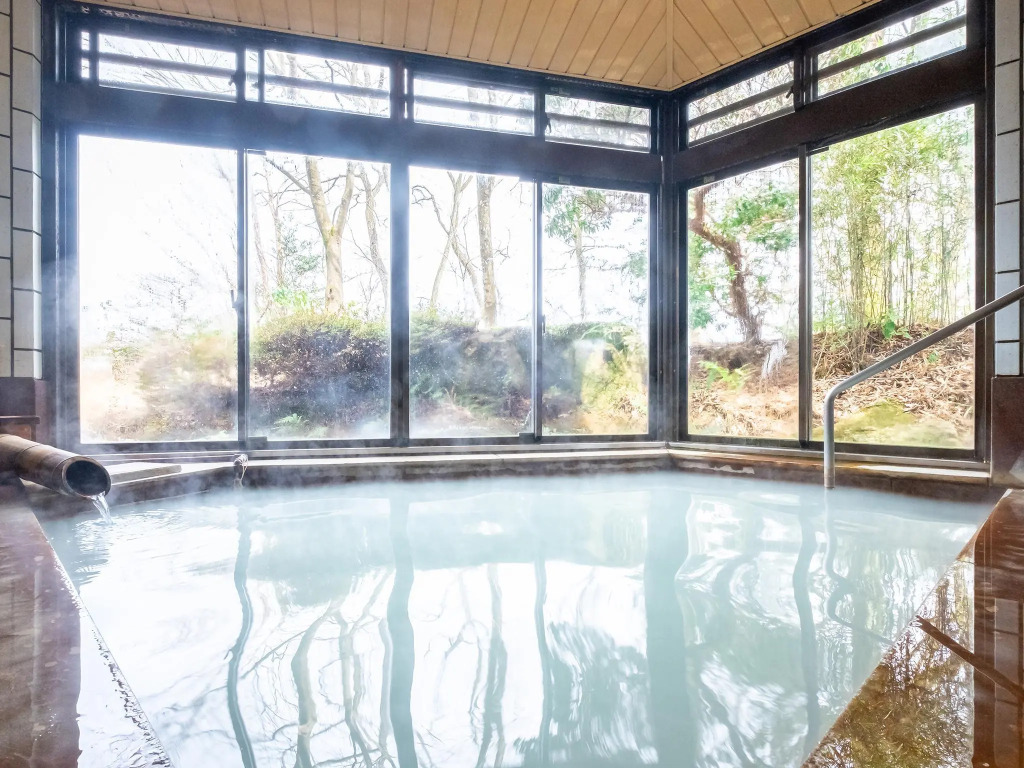 HAKONE GORA ONSEN Hotel Kasansui