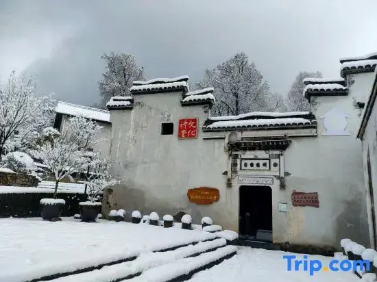 Hangzhou Linan Old Maple Tree Valley-view Hostel