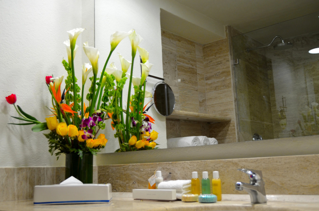 Fiesta Americana Puerto Vallarta All Inclusive & Spa