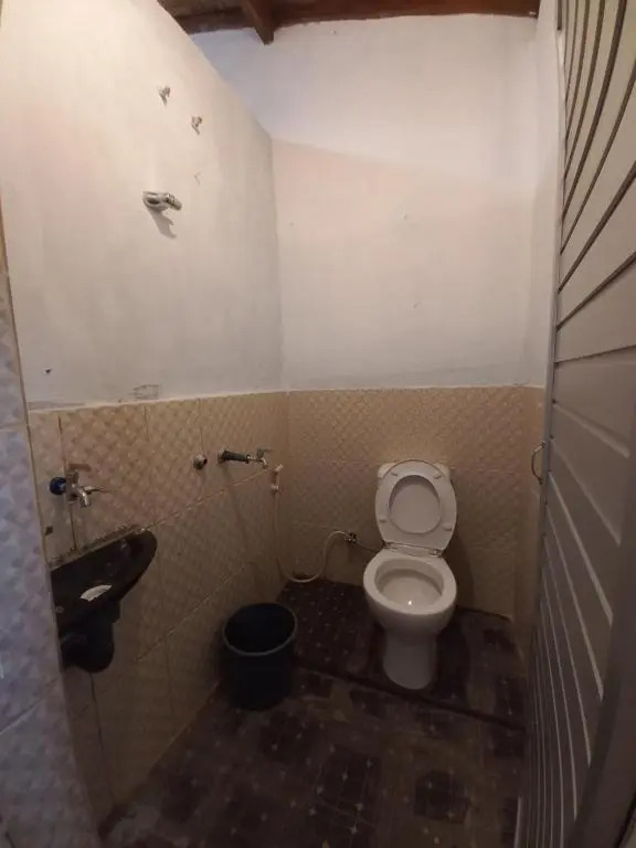 Bukitlawangtour and Accomodation