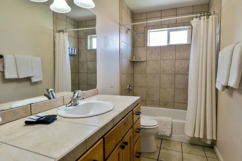 Cottonwoods 419