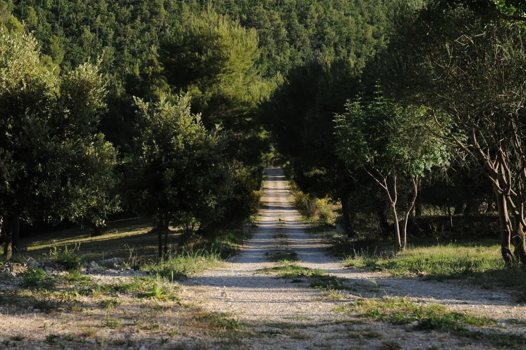 Posto del Sole