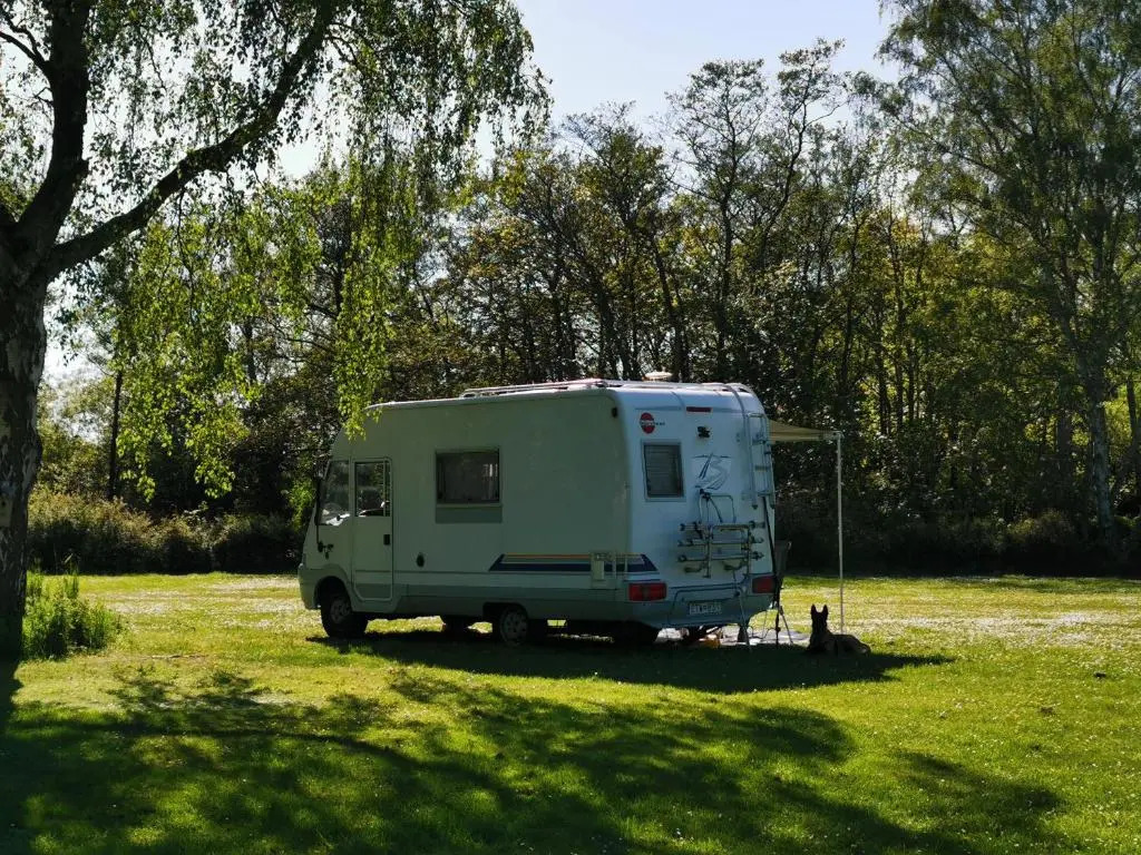 Frederiksværk Camping & Hostel