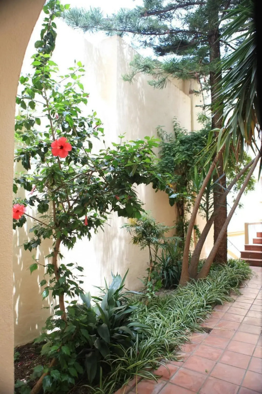 Hotel El Coloso