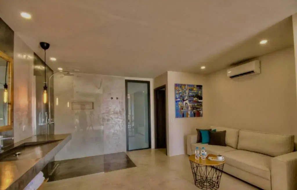 CASA IB