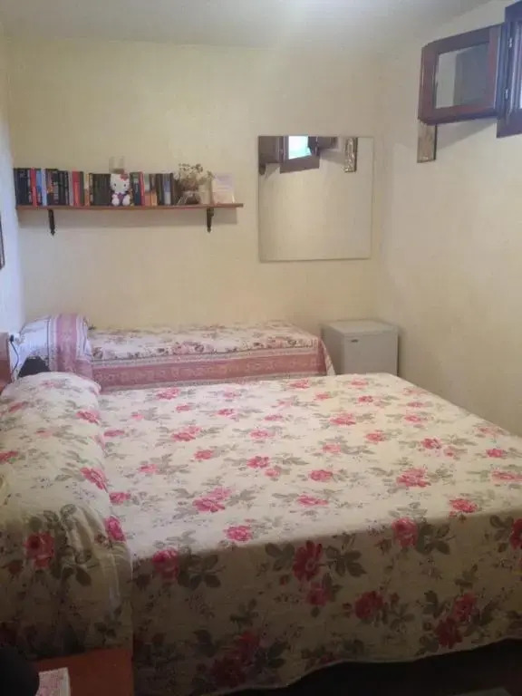 B&B Chorisia