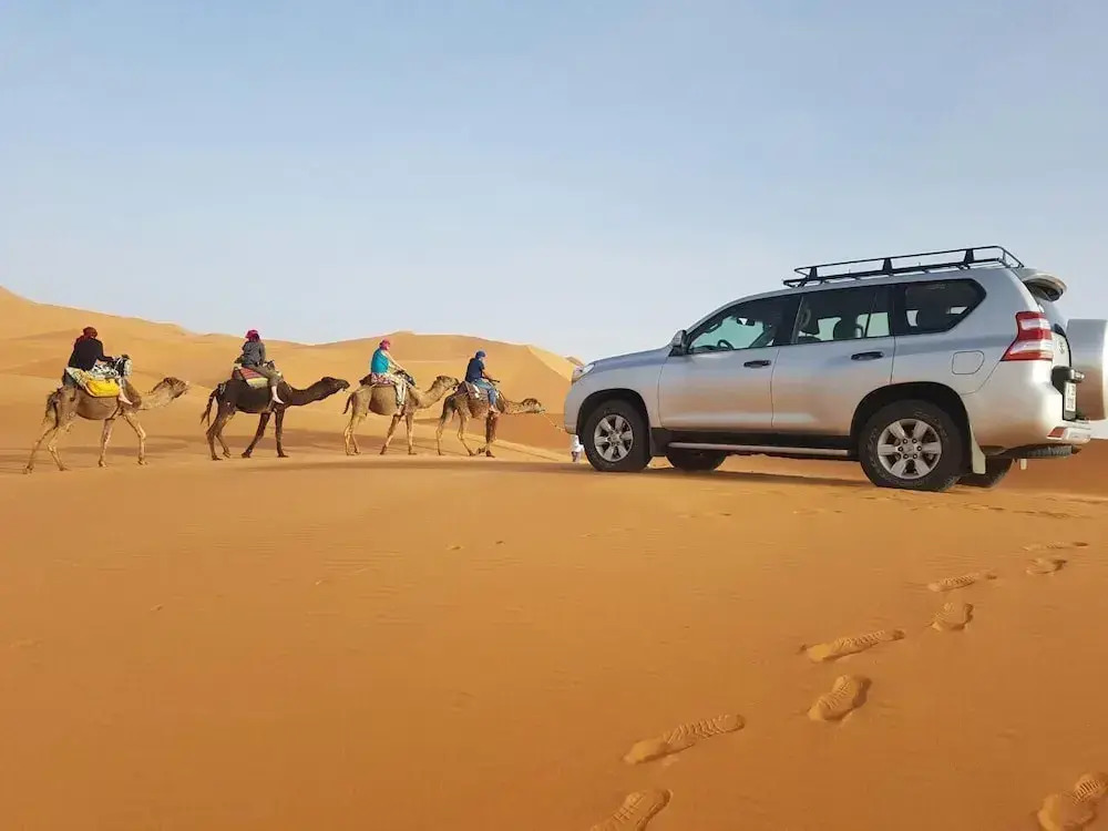 Desert Queen Camp