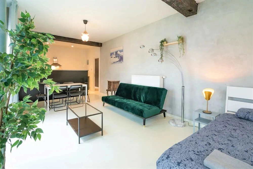 Antwerp Central 1br/7p Apartment