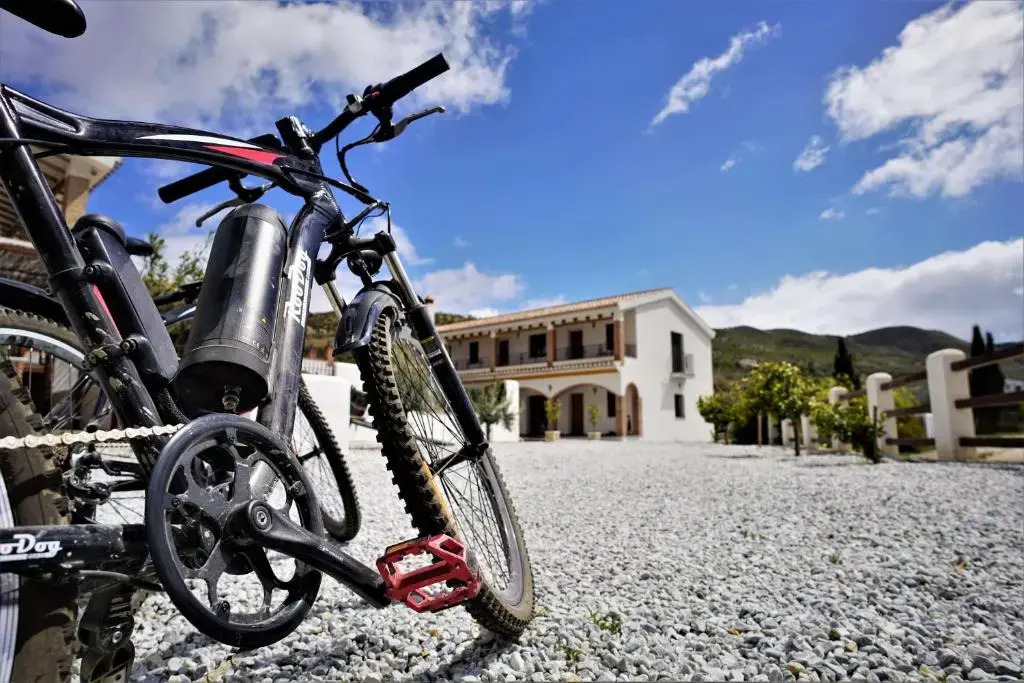 Lemon Tree Retreat at El Amparo