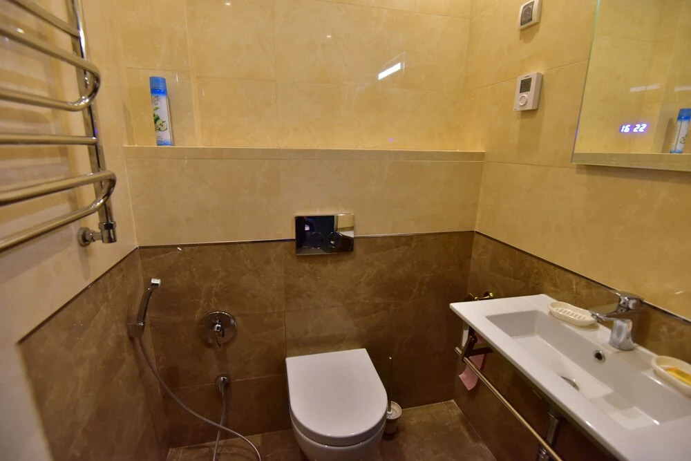 Ropsha SPA