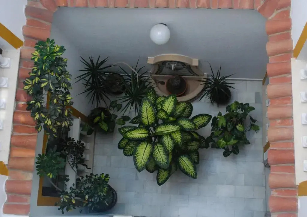 Hostal Costa De La Luz